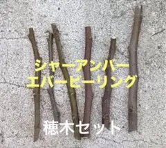 2026年最新】イチジク穂木の人気アイテム - メルカリ