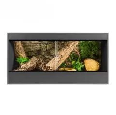 Item thumbnail for item b817fca2-3a39-479a-9290-38654451be14