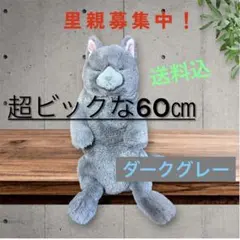 ❣️大人気ビックLサイズ60㎝❣️ひざねこ すやすや ☆動物愛護団体