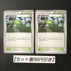 巨大植物の森のサムネイル