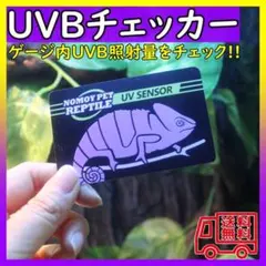 UVBチェッカー 紫外線テスター 爬虫類ランプ 太陽光のサムネイル