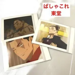 ぱしゃこれ 東堂葵