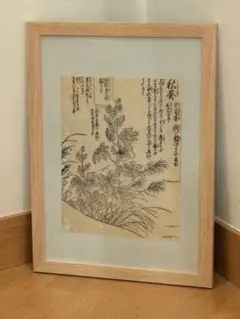 真作】江戸時代 木版画 蒲公英（橘守国） - メルカリ