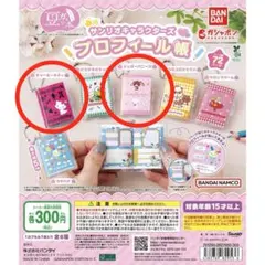 サンリオ　プロフィール帳　ガチャ　豆ガシャ本