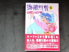 極-KIWAMI-コンテナ 収納ボックス 龍が如く - メルカリ