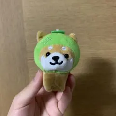 pp様 リクエスト 2点 まとめ商品