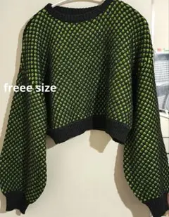 かぎ針編み風クロップドニットセーター フリーサイズ
