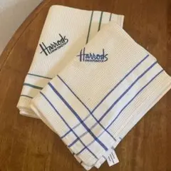 Item thumbnail for item 337ba34e-4671-4ccd-a312-36b4b80e9888