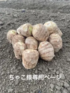 ちゃこ様専用ページ