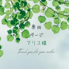 アリス☆(プロフ必読！)様 リクエスト 3点 まとめ商品