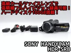2025年最新】hdr-sr8の人気アイテム - メルカリ