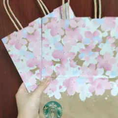 スタバ　紙袋2枚セット