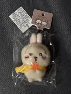 2025年最新】Miniso ちいかわ うさぎの人気アイテム - メルカリ