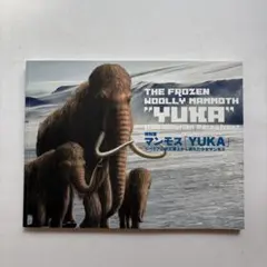 特別展マンモス「YUKA」シベリアの永久凍土から現れた少女マンモス　図録