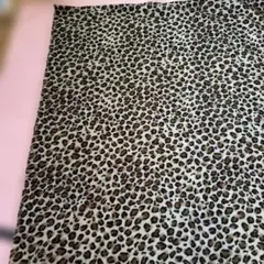 Item thumbnail for item 1e1f3496-da7e-45f8-916d-a79c7b8bf542