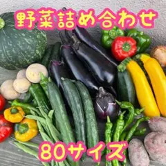 野菜セット 野菜詰め合わせ 80サイズ ★カボチャ入り★のサムネイル