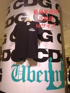 Item thumbnail for item 33bec30b-cbce-4857-93b0-42672183f767