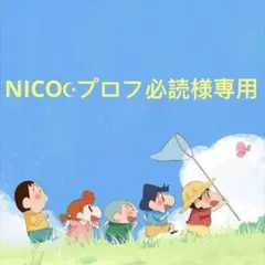 NICO☪︎プロフ必読様専用です