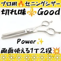 Item thumbnail for item beb0823e-942c-48b3-88e6-0fa9e4bf251b