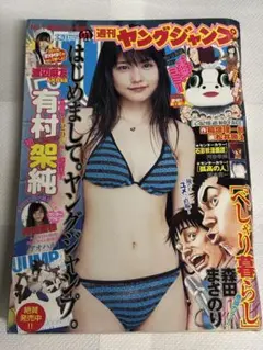 ヤングジャンプ 2011年1号 表紙巻頭グラビア 有村架純