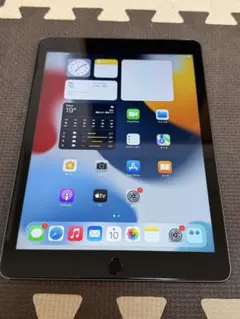 Apple iPad (モデル A1567)16G