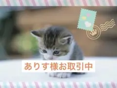 ありす様 リクエスト 4点 まとめ商品