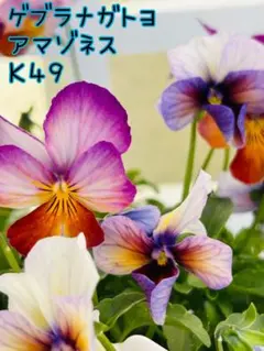 エルロイ様 リクエスト 5点 まとめ商品