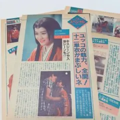 Item thumbnail for item 65cd64c9-c847-47de-8378-fac248e33cf9