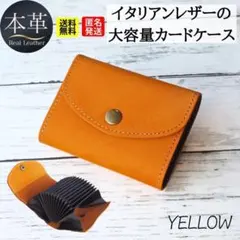 Item thumbnail for item f9af4c8b-d273-4fee-b88a-d71cb1a0fa14