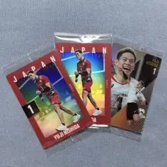 バレーボール男子日本代表ツインウエハース 西田有志
