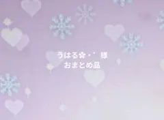 うはる✿・゜様おまとめ品