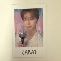 SEVENTEEN YAKUSOKU DINO インスタントフォト - メルカリ