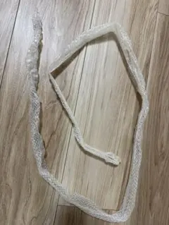 白蛇の脱皮皮　約120センチのサムネイル