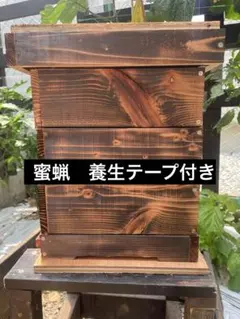 木製 巣箱 ミツバチ　重箱式3段　焼杉のサムネイル
