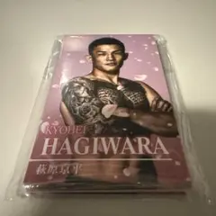 rizin ラウンドマーク神戸　ppvカード