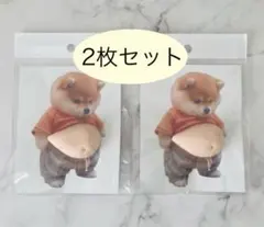 おなかぷにぷにシール　柴犬　スクイーズ　シリコン　立体　緩衝材発送【2枚セット】