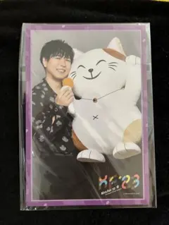 神谷浩史 まねきねこ ポストカード