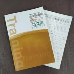 高校新演習　精選トレーニング　英文法