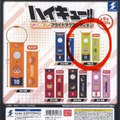 【mikota✿.•様】ハイキュー!! 月島蛍 フライトタグコレクション