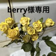 berry ꕤ︎︎·͜·様 リクエスト 2点 まとめ商品