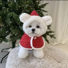 クリスマス 犬服