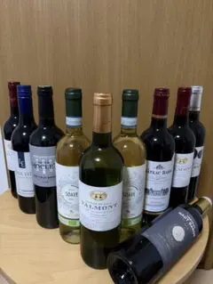 ボルドー金賞など 各国 白ワインセレクション 10本セット 750ml v2