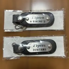 Item thumbnail for item 6e9f2640-80db-4409-bf9a-a69d35129c9d