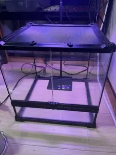 コオロギ特化型 目開き1.3mm ステンレス金網使用 飼育ケージ 飼育