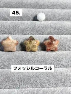 45.在庫処分〜フォッシルコーラル星(白)