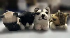 動物 ぬいぐるみ 4点セット マスコット キーホルダー
