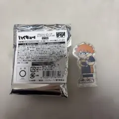 ハイキュー　ジロリ ミニアクリルブロック 日向翔陽
