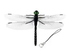 2026年最新】標本 オニヤンマの人気アイテム - メルカリ