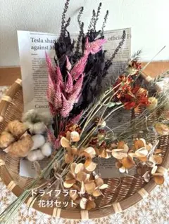 【販売済み】超巨大/11/11発見【山芋の花殻】スワッグ/ドライフラワー/花材 超巨大/11/11発見【山芋の花殻】ナチュラルスワッグ/ドライ