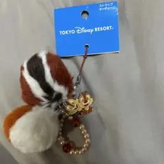 だ*石様 東京ディズニーリゾート チップとデール キーチェーン